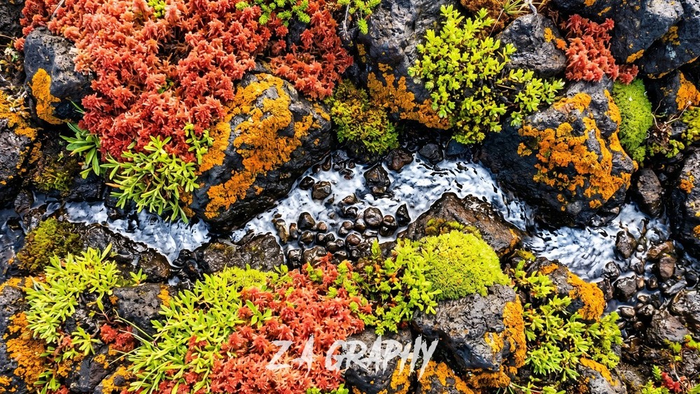 Digital Image Picture Photo Wallpaper Background Desktop AI Art Sample Product