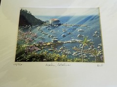 Avalon ~ Catalina ~ Purple Flowers ~ Matted Print ~ 8 x 10 ~ Signed Bert