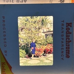Lot Of 40 1960’s Kodachrome Family Summer Roadtrip Vacation 35mm Color Slides