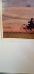 bill coleman amish