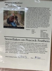 Karla Booth Macro Photography Snowflakes On Peacock Feathers Signed Art Snow COA