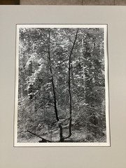 Bob Werling Signed #3 Lake Tahoe Black & White Framed Decorative Edition Print