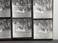 NEWLY FOUND! Hendrickson PHOTO Contact Sheet Proof & Negatives VICTORIAN COUPLES