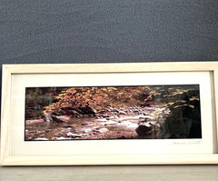 Joseph Barnett Photography Set of 2 Signed Autumn Themed Nature Framed Photos