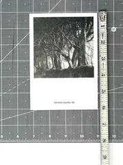Lynn Geesaman 1994 Art Show Announcement Card – PPOW Gallery NYC Photography