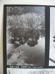 MATTED PHOTOGRAPHY Collage of Florida Photos by Larry Santucci 15×11.5 B&W