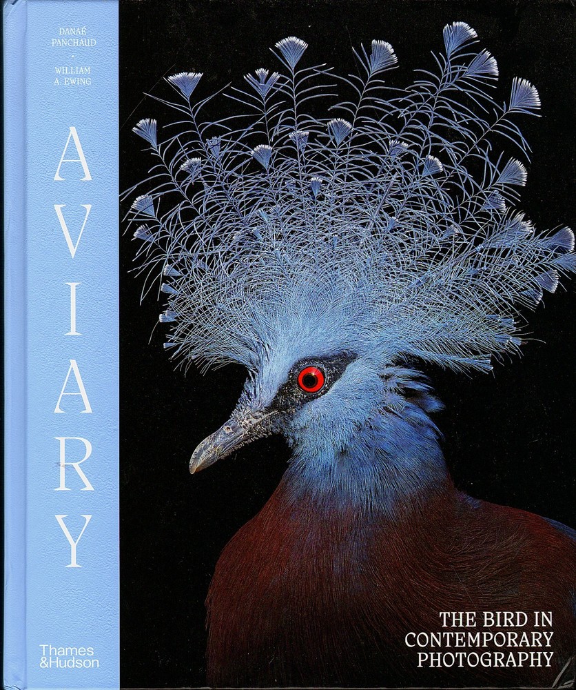AVIARY: The Bird in Contemporary Photography by Ewing/Exquisite images/NEW/HB