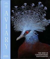 AVIARY: The Bird in Contemporary Photography by Ewing/Exquisite images/NEW/HB
