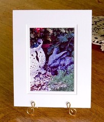 5×7 Garden Bunny Print / Double Cream Mat (Fits 8×10 Frame), Easter, Gift, Decor