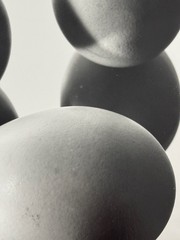 Hans Finsler, Eggs in Mirror II, before May 1929, Photograph from Estate
