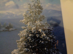 Jon Paul Signed Landscape Photograph Lake Tahoe 4 X 6 Print Ready In 8 X 10 Mats