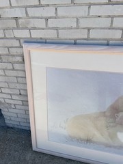 Thomas D. Mangelsen Signed Polar Bear Limited Ed 155/500 Photograph Art 46*64
