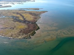Hood Canal Skokomish River Delta/Metallic Ink Print/Aerial View