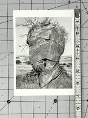Douglas Prince (b. 1943) Art Announcement Card 1994 – Witkin Gallery NYC