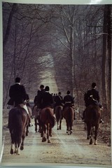 Analog Photo France Hunting Hound Horse 24X30CM 1970