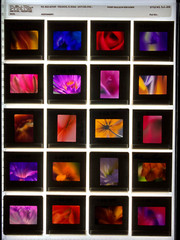 ALAN PAPPE Original 35mm Color Slide Transparency Collection Art Photography 197