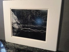 John Sexton signed photograph-White Branch, Yosemite 10×13 on 16×20 mat