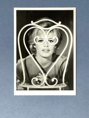 Brigitte Bardot Photo Art Print Csrd By Sam Levin 1988 Hazan
