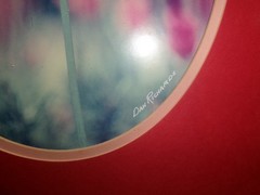 tulip framed photograph dan richards signed