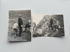 🐕 Lot 2x Vintage Photo Children with Cow in the Mountains, Circa 1960s, 7×10