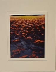 Grand Canyon Photo On Metal Signed Shane Knight