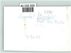 40035926 – 4775 Herzfeld Kath. Saint Ida Church Interior Shot Grave Dome /
