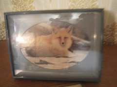 Pictures Deer and fox in winter Two Glass framed About 6 x 8 inches