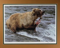 VTG Signed Ltd Ed Photograph (#2/100) Alaskan Grizzly Bear by Lee Mann ~ COA