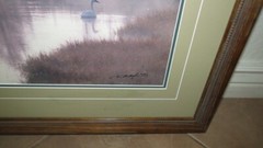 Thomas Mangelsen Signed Numbered Framed Wildlife Print.