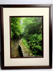 Glossy Photograph: Brook and Stone Wall. 15 in. x 12 in. Diane L. Deanna