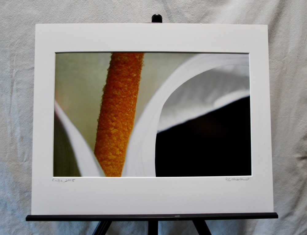 Original Photography Art Print «Calla»