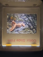 Org Nude Camera Club 70’s 35mm Risque Slide – WOMAN IN SOUTHWEST WESTERN DESERT