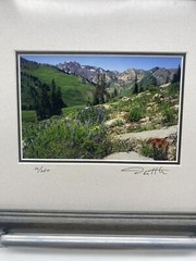 David Whitten Park City, Utah 10/250 Framed Matted Glass