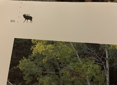 THOMAS D MANGELSEN Original Photograph