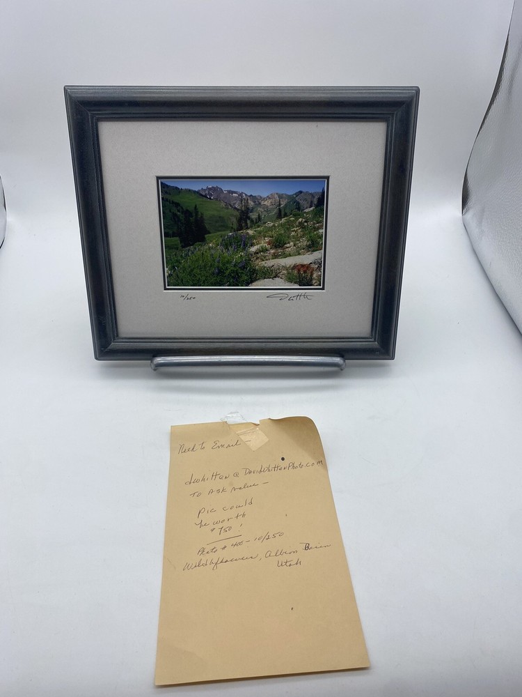 David Whitten Park City, Utah 10/250 Framed Matted Glass