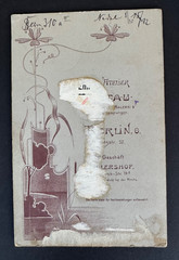 Cabinet Photo Young Lady with Flowers, Gutau Upper Austria c. 1895-1905 (39)