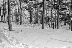 Negative-Yukhnov-Kaluga-Russia-34th Infantry Div-Soldiers-Cemetery-Graves-1942-175