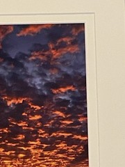 Grand Canyon Photo On Metal Signed Shane Knight