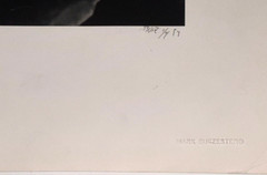 Large Close-Up 24″ x 20″ B & W Photograph of a Rose -1994-Mark Bugzester