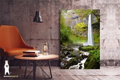 Elowah Falls, Oregon Waterfalls, Columbia River Gorge, Pacific Northwest Prints