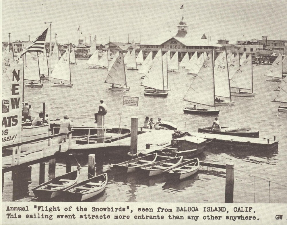 NEWPORT BALBOA Flight of the Snowbirds SAILBOAT RACE Photo Print 1461 11″ X 14″