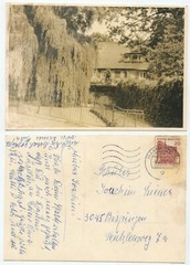 40665 – Weeping Willow with House – Photo as Postcard, Hamburg 9.2.1968