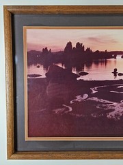 ART – Large Original Signed P. Van Dolson 35mm Photograph 29×21 Framed Landscape