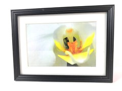 EYE OF THE ORCHID 4×6″ MATTED AND FRAMED PHOTO PRINT, READY TO HANG, GREAT GIFT