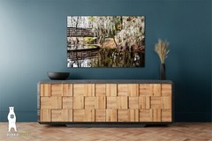 Phinizy Swamp – Fine Art Nature Photography by Bear8Photo