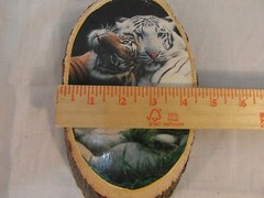 Royal Gorge Of Colorado Natural Wood Tigers Napping Picture 31624