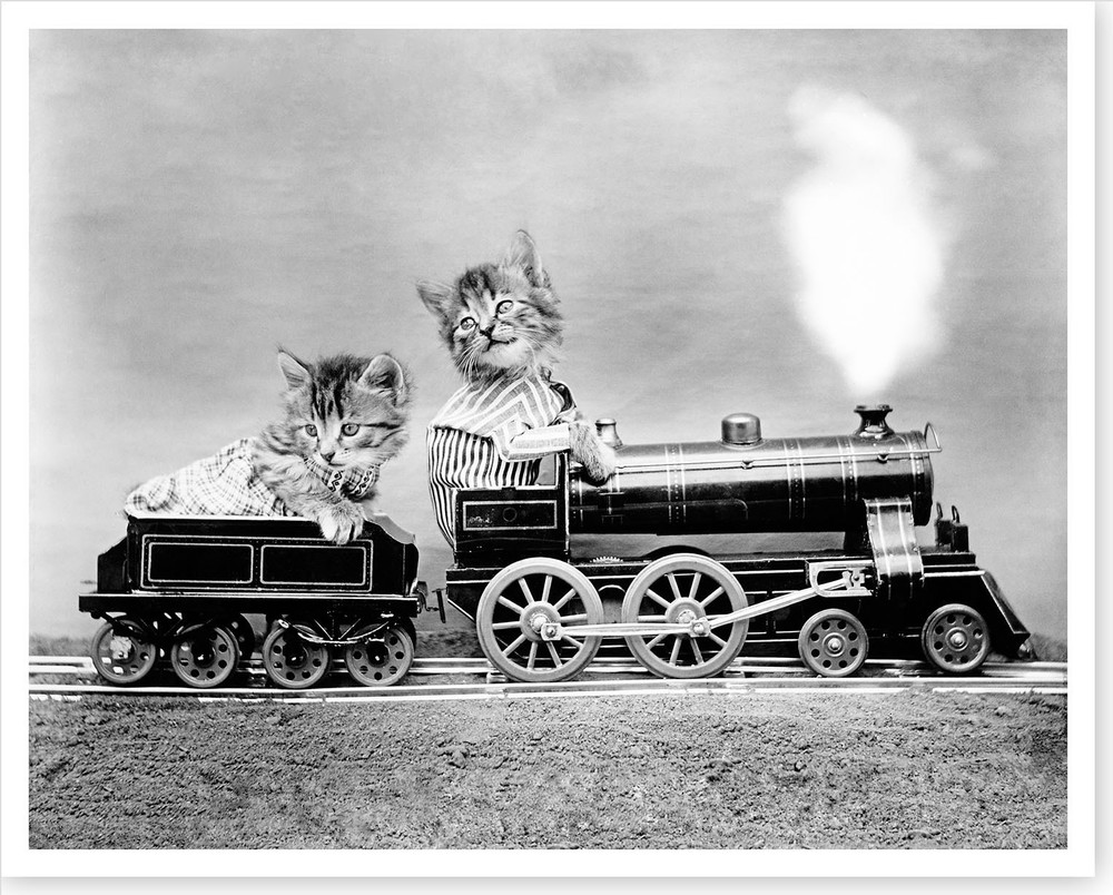 1914 Kittens Cats Riding Toy Steam Engine Train Silver Halide Photo