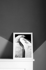Photo Author’s – Abstract’16 Black White Art Deco Gift Elegance Photo 21x30cm