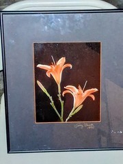 Cibachrome ART PRINT Signed & Framed Print Tony Festa RARE