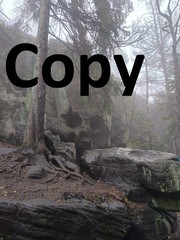 Digital image photo picture JPEG file